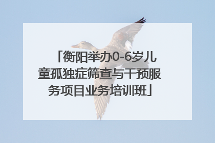 衡阳举办0-6岁儿童孤独症筛查与干预服务项目业务培训班
