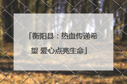 衡阳县：热血传递希望 爱心点亮生命