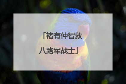 褚有仲智救八路军战士