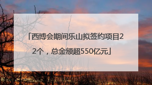 西博会期间乐山拟签约项目22个，总金额超550亿元