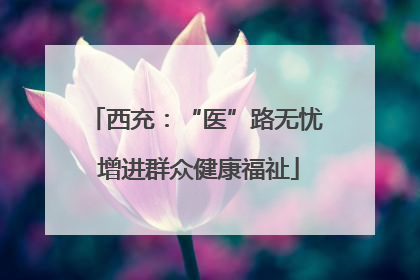 西充：“医”路无忧 增进群众健康福祉