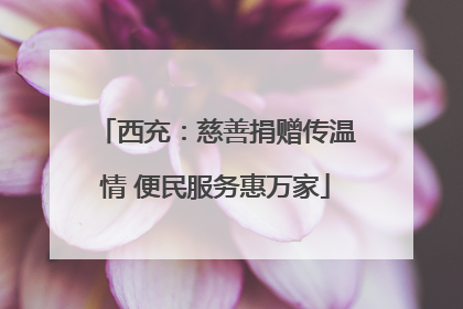 西充：慈善捐赠传温情 便民服务惠万家