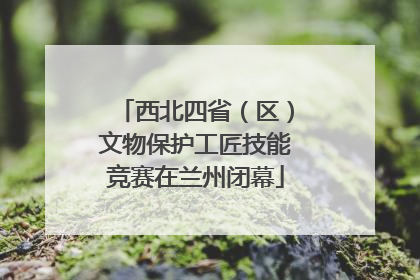 西北四省（区）文物保护工匠技能竞赛在兰州闭幕