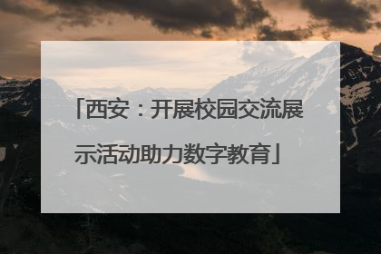 西安：开展校园交流展示活动助力数字教育
