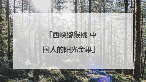 西峡猕猴桃 中国人的阳光金果