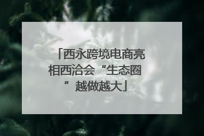 西永跨境电商亮相西洽会“生态圈”越做越大