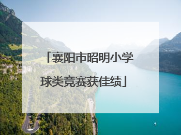 襄阳市昭明小学球类竞赛获佳绩
