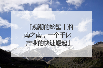 观潮的螃蟹丨湘南之南，一个千亿产业的快速崛起