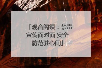 观音阁镇：禁毒宣传面对面 安全防范驻心间