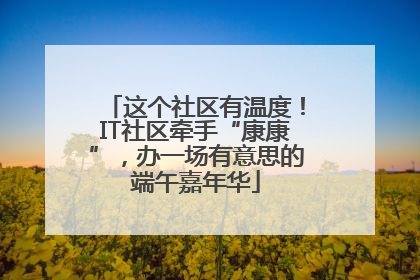 这个社区有温度！IT社区牵手“康康”，办一场有意思的端午嘉年华
