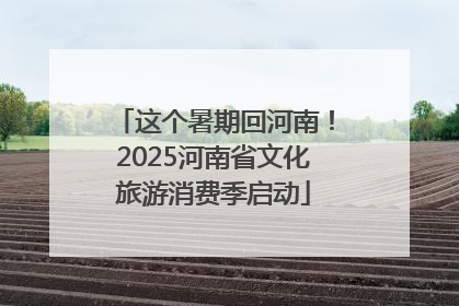 这个暑期回河南！2025河南省文化旅游消费季启动