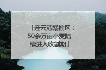 连云港赣榆区：50余万亩小麦陆续进入收割期