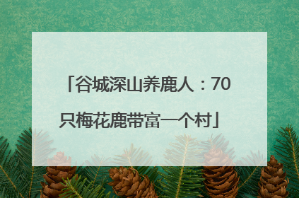 谷城深山养鹿人：70只梅花鹿带富一个村