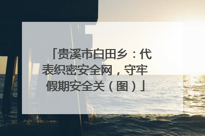 贵溪市白田乡：代表织密安全网，守牢假期安全关（图）