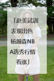 赴美试训表现出色 杨瀚森NBA选秀行情看涨