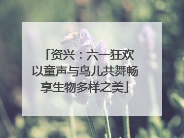 资兴：六一狂欢 以童声与鸟儿共舞畅享生物多样之美