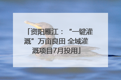 资阳雁江：“一键灌溉”万亩良田 全域灌溉项目7月投用
