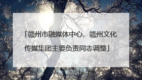 赣州市融媒体中心、赣州文化传媒集团主要负责同志调整