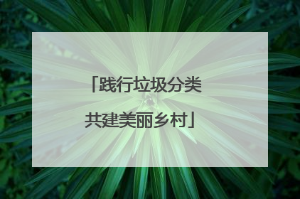 践行垃圾分类 共建美丽乡村