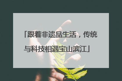 跟着非遗品生活，传统与科技相遇宝山滨江