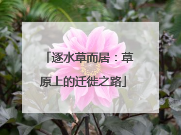 逐水草而居：草原上的迁徙之路