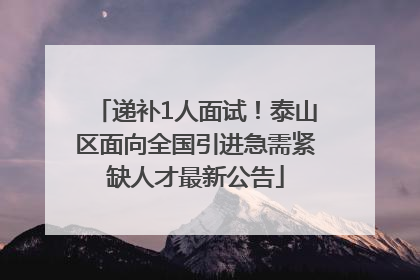 递补1人面试！泰山区面向全国引进急需紧缺人才最新公告