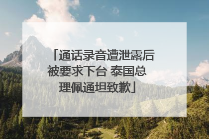 通话录音遭泄露后被要求下台 泰国总理佩通坦致歉