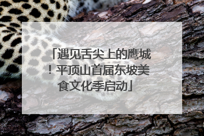 遇见舌尖上的鹰城！平顶山首届东坡美食文化季启动