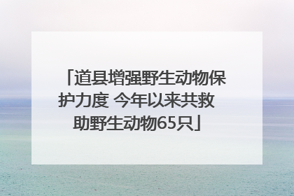 道县增强野生动物保护力度 今年以来共救助野生动物65只