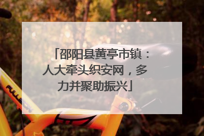 邵阳县黄亭市镇：人大牵头织安网，多力并聚助振兴