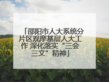 邵阳市人大系统分片区观摩基层人大工作 深化落实“三会三文”精神