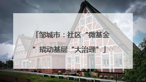 邹城市：社区“微基金”撬动基层“大治理”