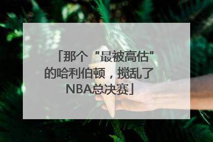 那个“最被高估”的哈利伯顿，搅乱了NBA总决赛