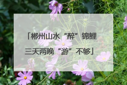 郴州山水“醉”锦鲤 三天两晚“游”不够