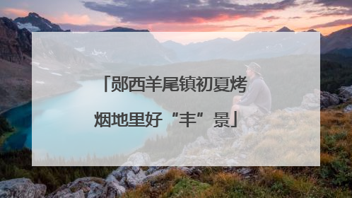 郧西羊尾镇初夏烤烟地里好“丰”景