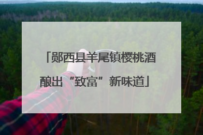 郧西县羊尾镇樱桃酒酿出“致富”新味道
