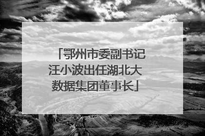 鄂州市委副书记汪小波出任湖北大数据集团董事长