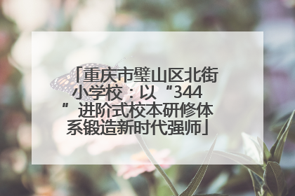 重庆市璧山区北街小学校：以“344”进阶式校本研修体系锻造新时代强师
