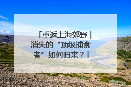 重返上海郊野｜消失的“顶级捕食者”如何归来？