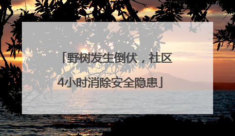 野树发生倒伏，社区4小时消除安全隐患