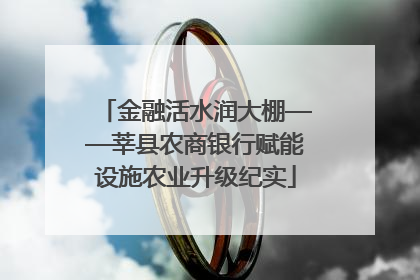金融活水润大棚——莘县农商银行赋能设施农业升级纪实