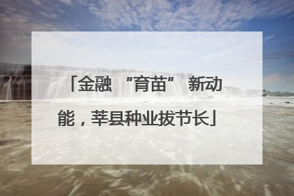 金融 “育苗” 新动能，莘县种业拔节长
