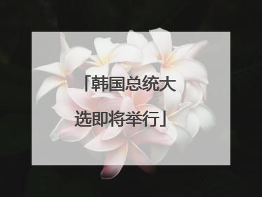 韩国总统大选即将举行