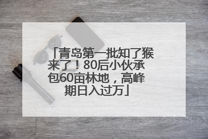 青岛第一批知了猴来了！80后小伙承包60亩林地，高峰期日入过万