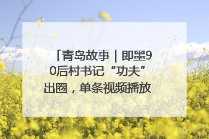 青岛故事｜即墨90后村书记“功夫”出圈，单条视频播放量过600万