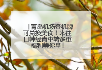 青岛机场登机牌可兑换美食！来往日韩经青中转多重福利等你拿