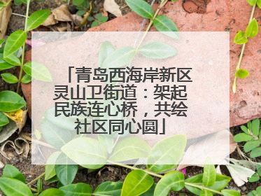 青岛西海岸新区灵山卫街道：架起民族连心桥，共绘社区同心圆