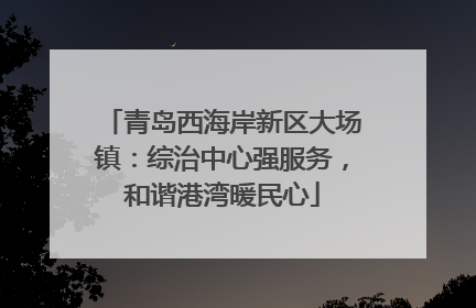 青岛西海岸新区大场镇：综治中心强服务，和谐港湾暖民心