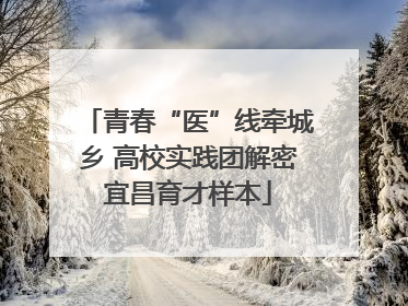 青春“医”线牵城乡 高校实践团解密宜昌育才样本
