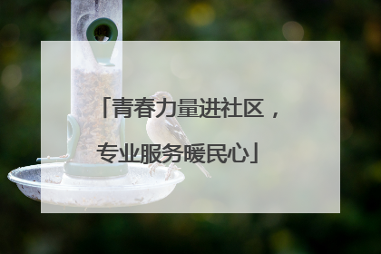 青春力量进社区，专业服务暖民心